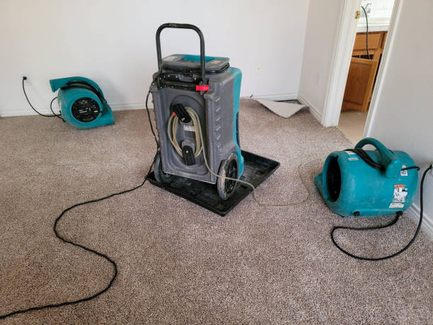 Sewage cleanup and water damage restoration in Castalia, OH