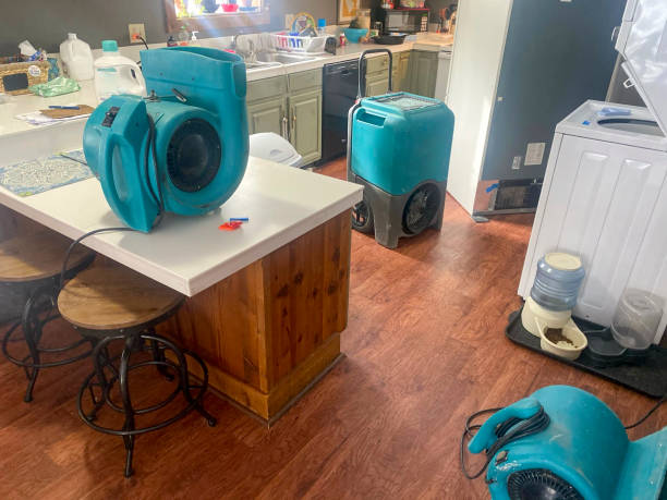 Best Water damage restoration near me  in Castalia, OH