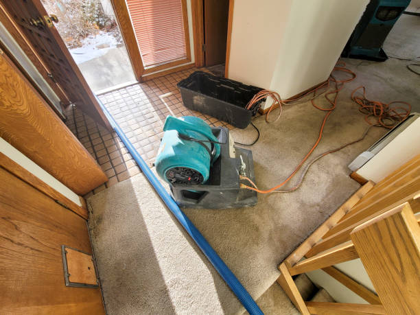 Best Residential water damage restoration  in Castalia, OH