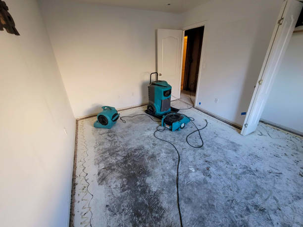 Best Mold removal after water damage  in Castalia, OH