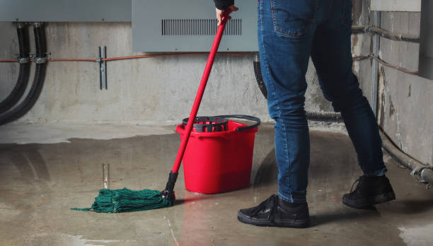 Best Sewage cleanup and water damage restoration  in Castalia, OH