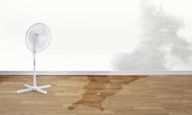  Castalia, OH Water damage restoration Pros