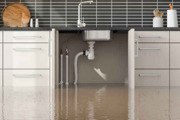 Best Local water damage restoration  in Castalia, OH