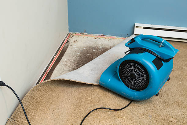 Best Flood restoration services  in Castalia, OH