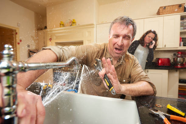 Best Water damage restoration specialists  in Castalia, OH